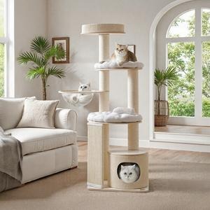 Cat Home